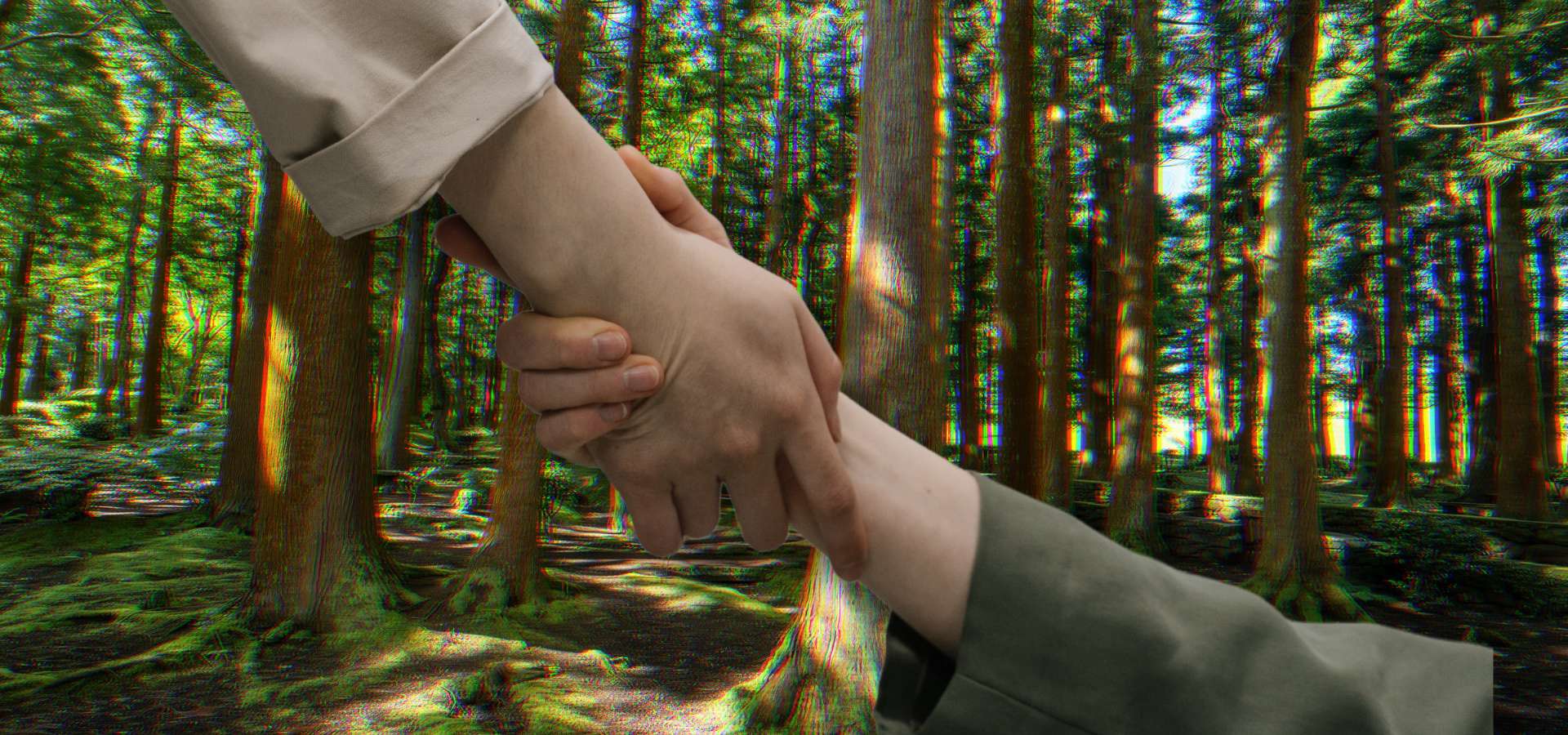 Zwei Hände halten sich gegenseitig, Wald im Hintergrund